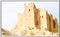 Desert Fortress