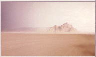 The Western Desert