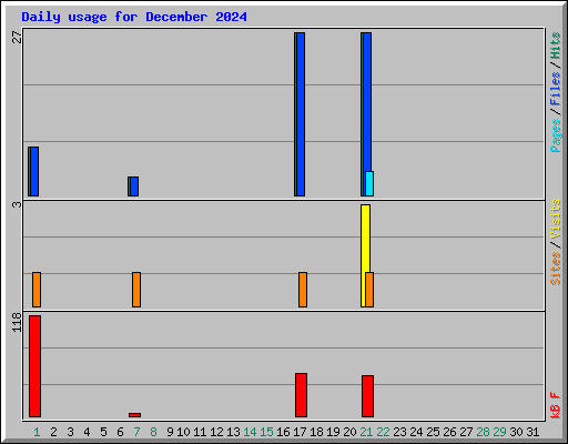 Daily usage for December 2024