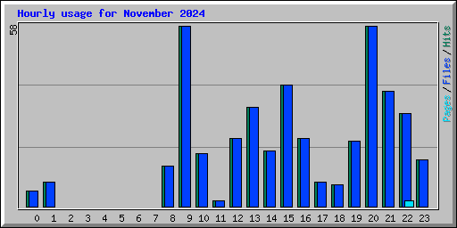 Hourly usage for November 2024