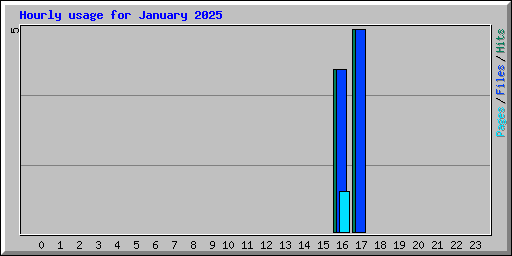 Hourly usage for January 2025