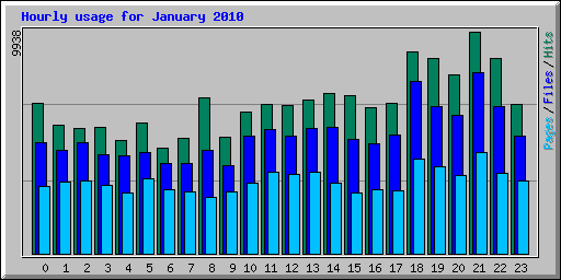 Hourly usage for January 2010